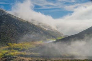 Beauty and the Beast: California Wildflowers and Climate Change - Art Exhibit @ Bay Model Visitor Center