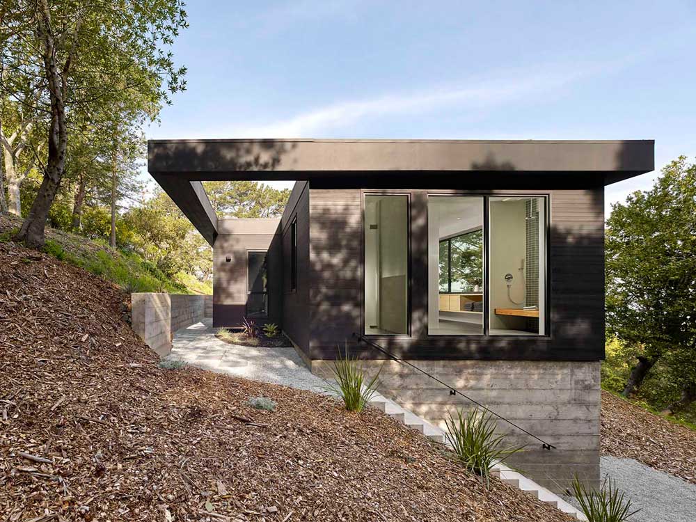 Marin Magazine, the flat, rectilinear 2,300-square-foot midcentury-style house already on site for them and their dog Bella.