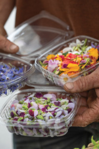 Marin Roots Farm’s edible flowers