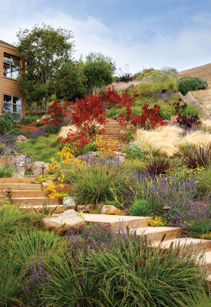 Garden Marin Magazine