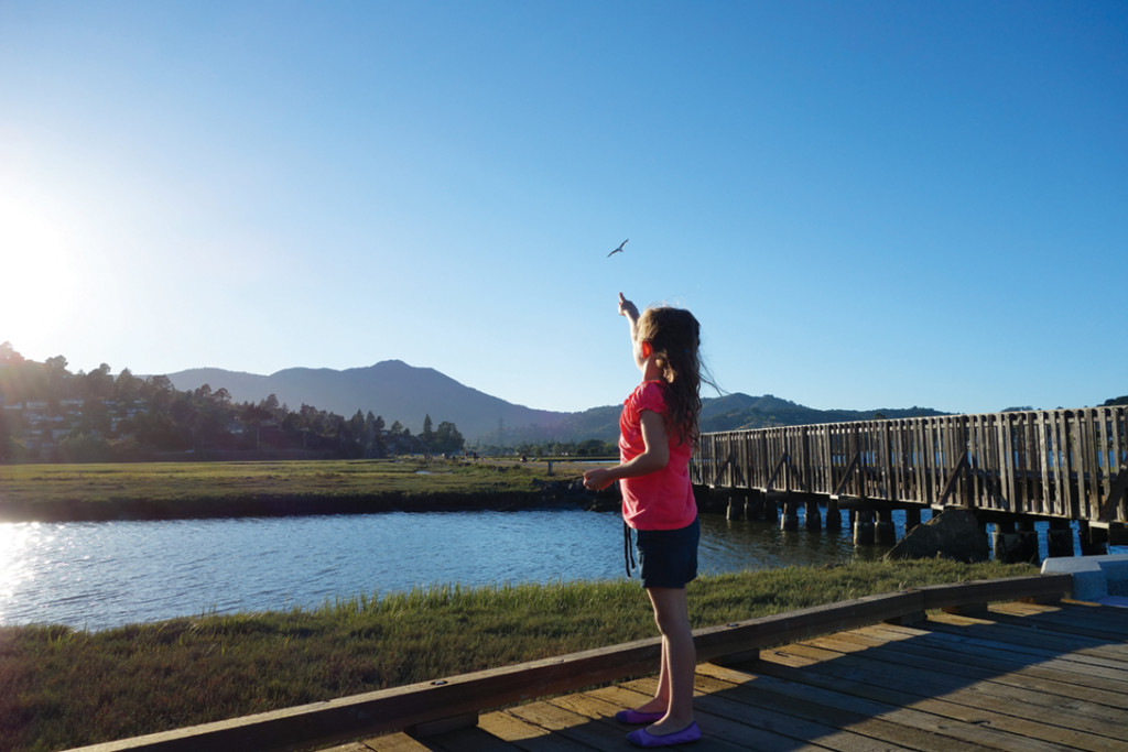 Interactive experience includes a walk at Bothin Marsh while reading a book.