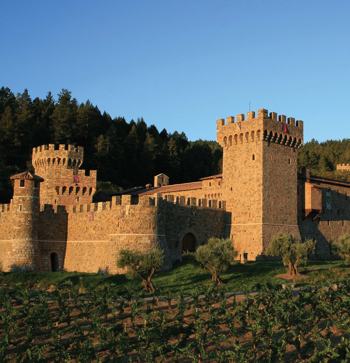 Marin Magazine Castle