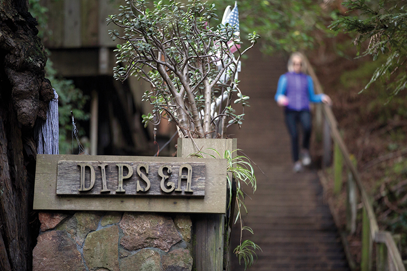 Dipsea trail 