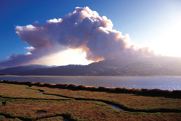Marin Magazine Fire