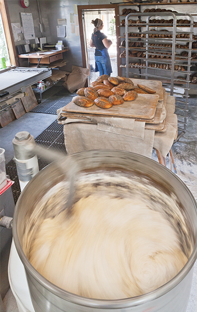 Bread dough