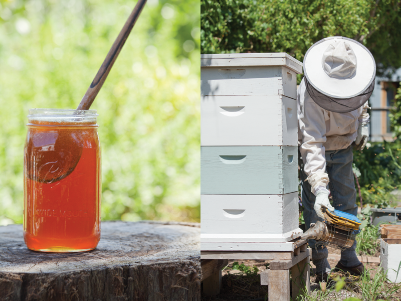 Marin Beekeeping, Marin Beekeeper, Marin Magazine