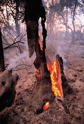 Richard Blair Marin Magazine Fire