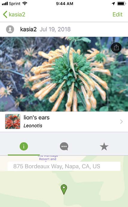 Plant Apps