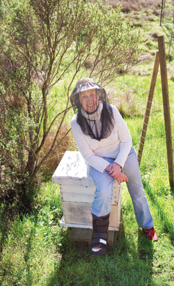 beekeeping in Marin, Marin Magazine
