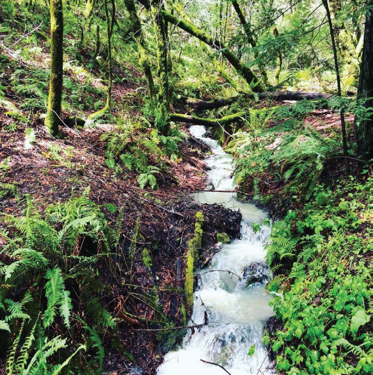 Baltimore Canyon